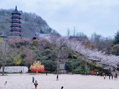 -牛首山文化旅游区