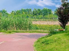 -两河城市森林公园