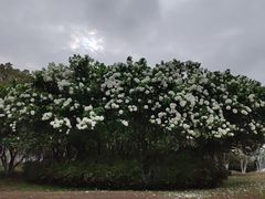 -宜兴龙背山森林公园