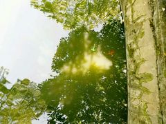 -杭州少年儿童公园