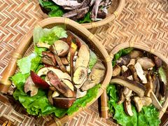 -滇野云南野生菌餐厅(陕西南路店)