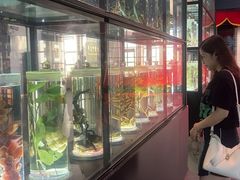 -广东中医药博物馆