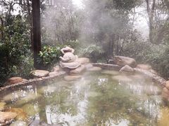 -天目湖涵田半山温泉