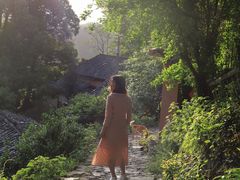 -杨家堂村