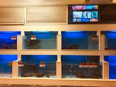 水产区-宜宾海鲜酒家·三十年老字号