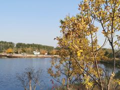 -东郊湿地公园