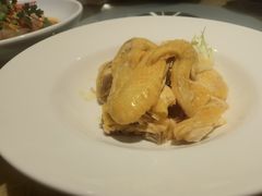-佬肥猫(周浦万达店)