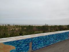 -日照海滨国家森林公园