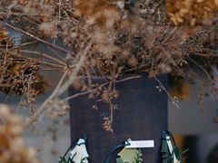 -悦哉·派对·草坪婚礼·围炉煮茶(三圣乡店)