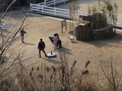 -宁海安岚·南溪阁全日餐厅