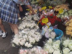 -循礼门鲜花花市(武汉循礼门店)