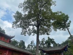 -黔灵山公园