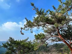 -金龙寺国家森林公园