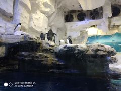 -华夏文旅海洋公园