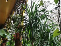 -泰兰香·Thailand(凯德空中花园店)