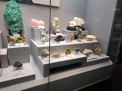 -湖南省地质博物馆