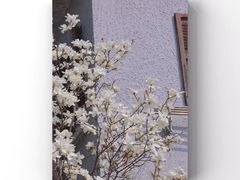 -常熟路(地铁站)