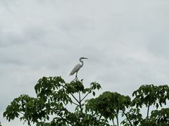-乐凯撒披萨(中心书城店)