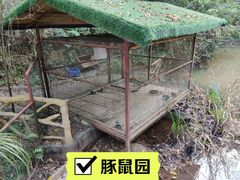 -龙门水都景区