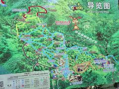 -呀诺达热带雨林