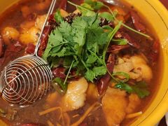 -熊猫川菜馆 panda chine