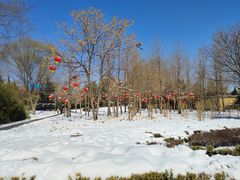 -达活泉公园