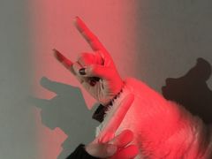 -张之洞与武汉博物馆