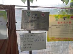 -马陆小张葡萄园农家乐