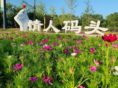 -东郊湿地公园