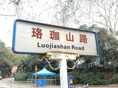 -武汉大学-樱园