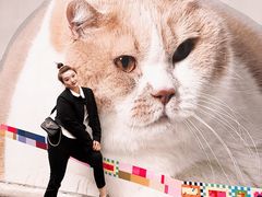 -方浜中路45弄小区