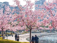 -新江湾城公园