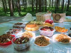 -桤木河湿地公园