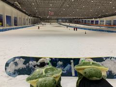 -绍兴启迪乔波冰雪世界