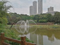 -龙头寺公园