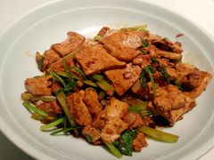 -阿五黄河大鲤鱼(纬三路店)