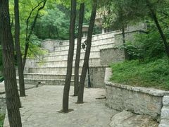 -原山国家森林公园