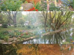 -上海共青森林公园