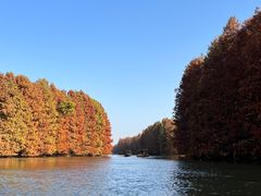-上海海湾国家森林公园