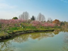 -上海海湾国家森林公园