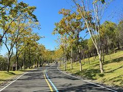 -牛岗山公园