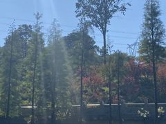 -广州市帽峰山景区