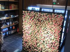 -百好乐宠物友好餐厅(朝外大街店)