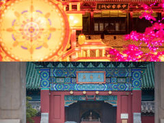 -朝花夕拾中餐厅(台儿庄古城复兴广场店)