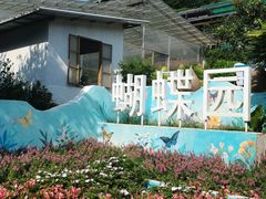 -青青世界