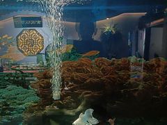 -食悦江南·淮扬菜·烤鸭(亚运村·惠新店)