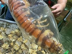-大茄来海鲜餐厅(亚洲城分行)