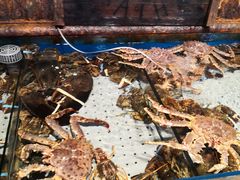 -开海·红岛海鲜虾水饺(石老人店)