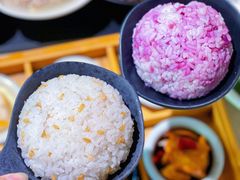 -新仙清汤牛腩(铜锣湾店)