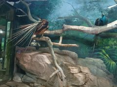 -福州罗源湾海洋世界旅游区